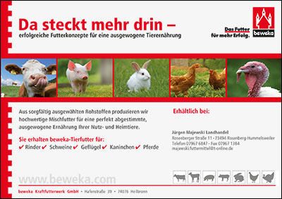 Werbeagentur Zeitungswerbung Messewerbung Wolkenstein Werbemittel Werbeartikel Werbetechnik