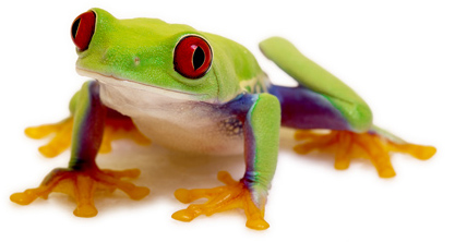 Werbeagentur Obergeckler